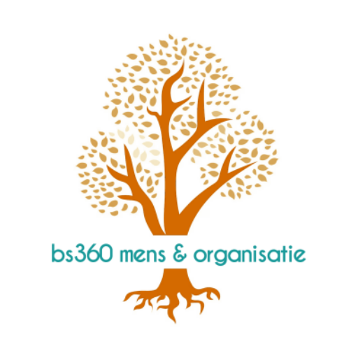 bs360 mens & organisatie